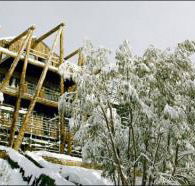 Silverski - Accommodation Noosa