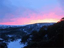 Snow Ski Apartments - Accommodation Noosa 3