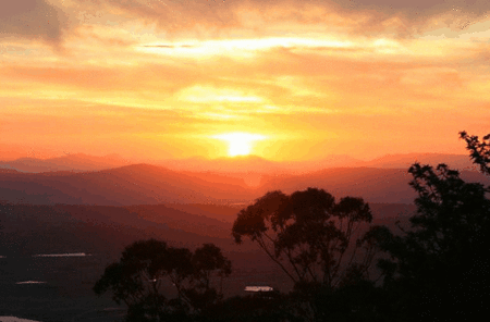 Avocado Sunset