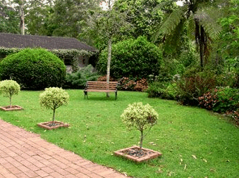 Tall Trees Motel - Accommodation Noosa 2