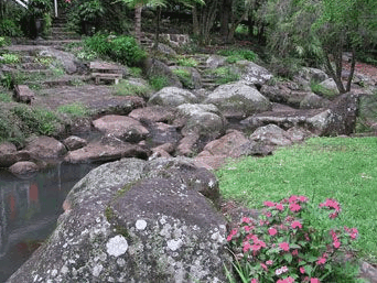 Tall Trees Motel - Accommodation Noosa 3