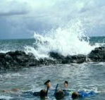 Bargara Beach Motor Inn - Accommodation Noosa