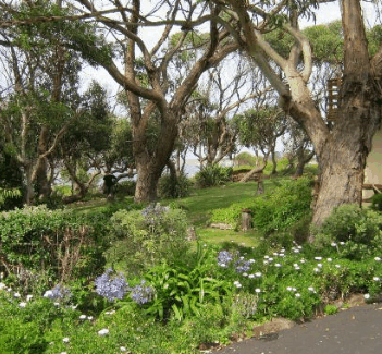 Anchlia Waterfront Cottage - Accommodation Noosa 2
