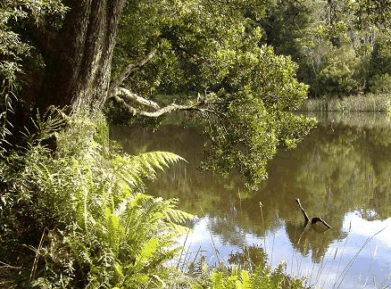 Weldborough Hotel - Accommodation Noosa 0