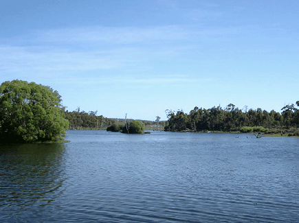 Currawong Lakes - Accommodation Noosa