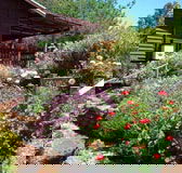 Chestnut Brook Cottage - Accommodation Noosa