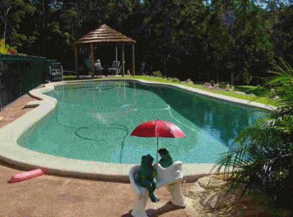 Greenacres Bed And Breakfast - Accommodation Noosa 4