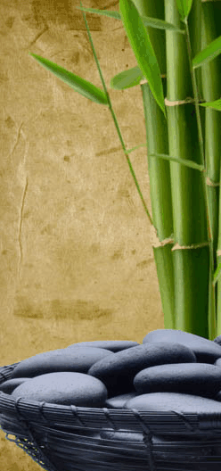 Je Suis Femme - Accommodation Noosa 3