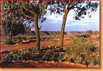 Kings Creek Station - Accommodation Noosa 1