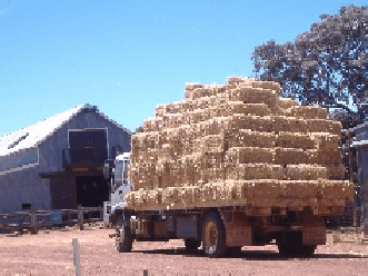 Avondale Discovery Farm - Accommodation Noosa 1