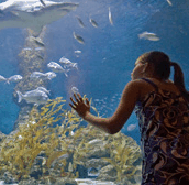 The Aquarium of Western Australia - Accommodation Noosa