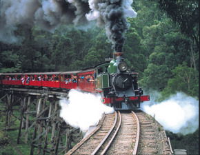 Puffing Billy - Accommodation Noosa 1