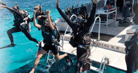 Snorkel Safari Brisbane - Accommodation Noosa