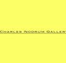 Charles Nodrum Gallery - Accommodation Noosa