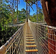 Thunderbird Park - Accommodation Noosa