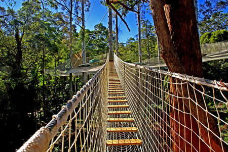 Thunderbird Park - Accommodation Noosa 0