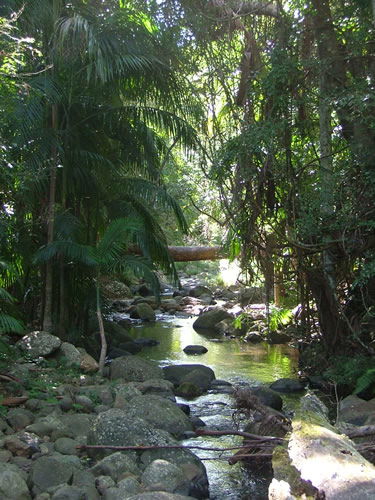 Thunderbird Park - Accommodation Noosa 2