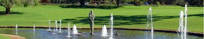 Kings Park Botanic Gardens - Accommodation Noosa 3