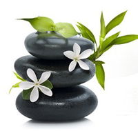 Tea House Spa Sauna - Accommodation Noosa