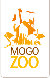 Mogo Zoo - Accommodation Noosa 0