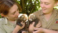 Mogo Zoo - Accommodation Noosa 3