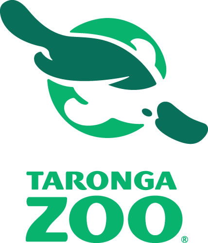 Taronga Zoo - Accommodation Noosa 0