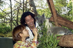 Taronga Zoo - Accommodation Noosa 2