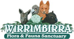 Wirrimbirra Sanctuary - Accommodation Noosa 0