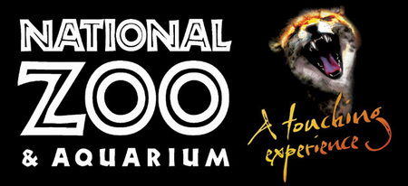 National Zoo & Aquarium - Accommodation Noosa 0
