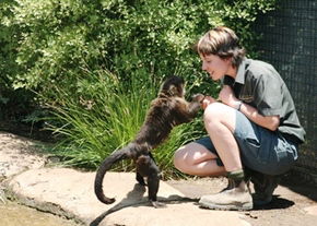 National Zoo & Aquarium - Accommodation Noosa 1