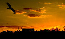 Werribee Open Range Zoo - Accommodation Noosa 1