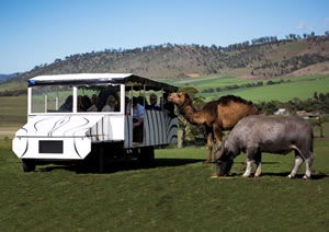 Zoo Doo Wildlife Park - Accommodation Noosa 2