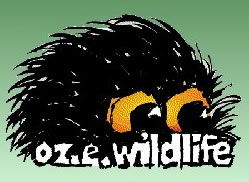 OZe Wildlife - Accommodation Noosa 0