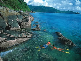 Llewellyn Dive Site - Accommodation Noosa 0