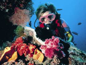 Gold Coast Seaway Dive Site - Accommodation Noosa 0