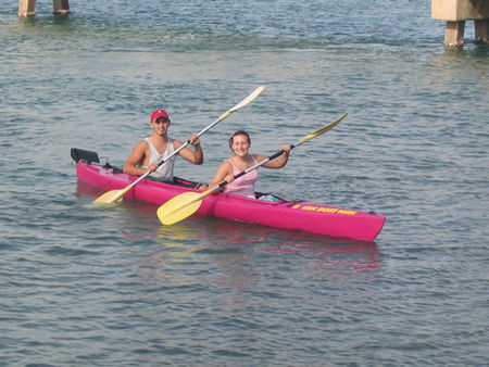 Swan Boat Hire - Accommodation Noosa 2