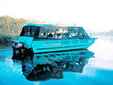 Noosa Everglades Discovery - Accommodation Noosa 1