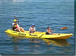 Manly Kayaks - Accommodation Noosa 3