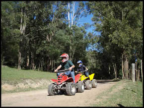 Glenworth Valley Horseriding - Accommodation Noosa 3
