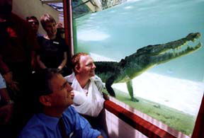 Alice Springs Reptile Centre - Accommodation Noosa 1