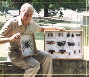Butterfly Farm - Accommodation Noosa 1