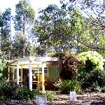 Koala Conservation Centre - Accommodation Noosa 1