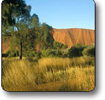 Uluru - Kata Tjuta National Park - Accommodation Noosa