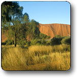 Uluru - Kata Tjuta National Park - Accommodation Noosa 0