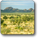 Uluru - Kata Tjuta National Park - Accommodation Noosa 2