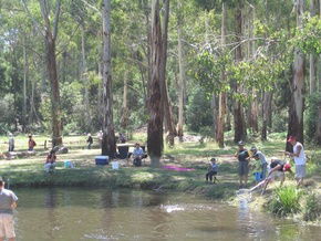 Buxton Trout And Salmon Farm - Accommodation Noosa 3