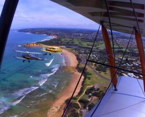 Tiger Moth World Adventure Park - Accommodation Noosa 1