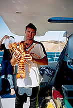 Temptation Sailing - Accommodation Noosa 3