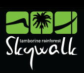 Rainforest Skywalk - Accommodation Noosa 0