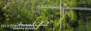 Rainforest Skywalk - Accommodation Noosa 2
